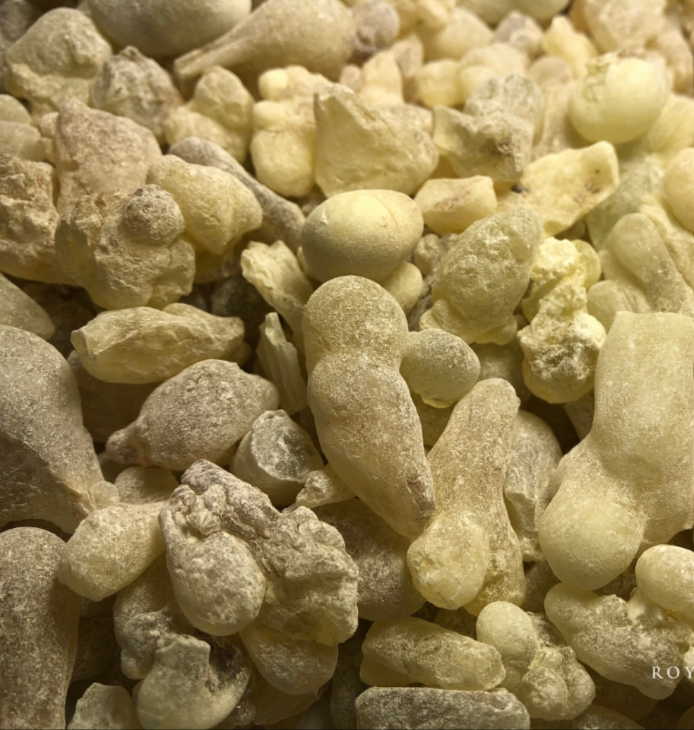 Oliban Résine Encens Boswellia Sacra Encens Oliban Male  Premium FRANKINCENSE ROYAL OMANI PURIFIÉ ET TRAITÉ POUR TISANE ET MANGER